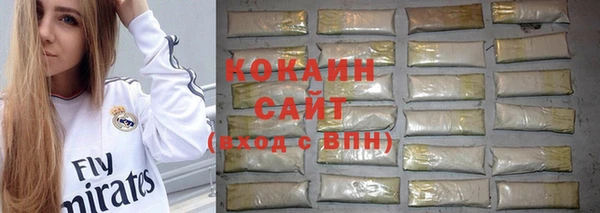 ПСИЛОЦИБИНОВЫЕ ГРИБЫ Липки