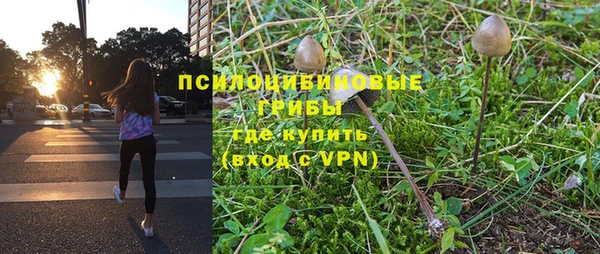 ПСИЛОЦИБИНОВЫЕ ГРИБЫ Липки
